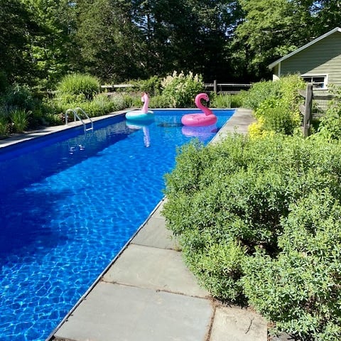 Image of Myrna Samath’s pool